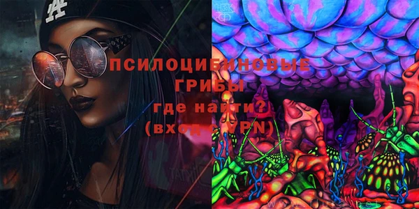 прущий лед Касимов