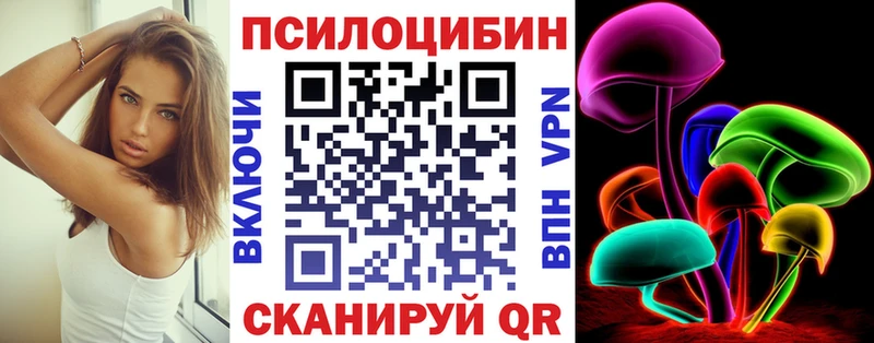 Купить  Петропавловск-Камчатский  Псилоцибиновые грибы MAGIC MUSHROOMS 